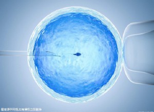 关于代怀双胞胎生男孩